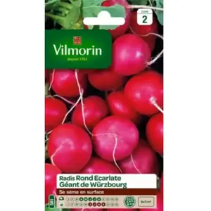 VILMORIN Radis rond ecarlate géant de Wurzbourg