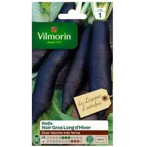VILMORIN Radis noir gros long d hiver pas cher