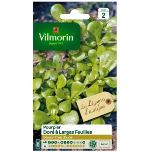 VILMORIN Pourpier doré à large feuille pas cher