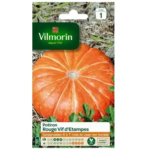 VILMORIN Sachet graines de Potiron vif d'Etampes