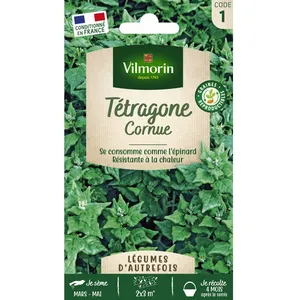 VILMORIN Tetragone cornue pas cher