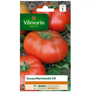 VILMORIN Tomate Marmande Sachet de graines