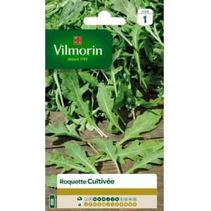 VILMORIN Roquette cultivée pas cher