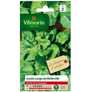 VILMORIN Oseille large de Belleville pas cher