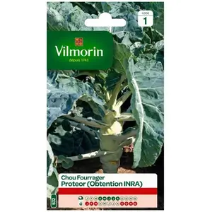 VILMORIN Chou fourrager Proteor Obtention INRA