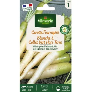 VILMORIN Carotte Fourragère blanche a collet vert hors terre pas cher
