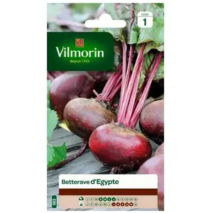 VILMORIN Betterave d’Egypte