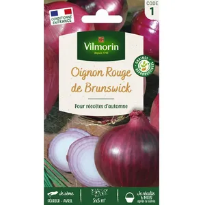 VILMORIN Oignon rouge de Brunswick pas cher