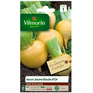 VILMORIN Navet jaune Boule d Or