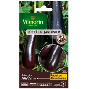 VILMORIN Aubergine Avan HF1 Création Vilmorin pas cher