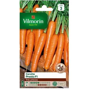 VILMORIN Carotte presto hf1 pas cher