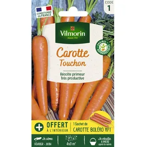 VILMORIN Sachet graines de Carotte TOUCHON
