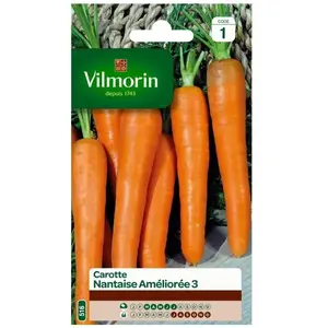 VILMORIN Carotte Nantaise améliorée 3