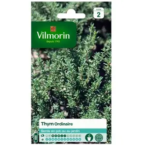VILMORIN Sachet graines de Thym ordinaire pas cher