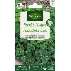 VILMORIN Persil frise vert fonce pas cher