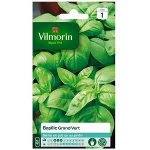 Graine - Vilmorin - Basilic Grand Vert