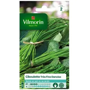 VILMORIN Sachet graines de Ciboulette danoise très fine pas cher