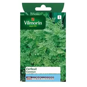 Vilmorin Graines De Cerfeuil Variété "Commun" Vilmorin Semis Toute L'année pas cher