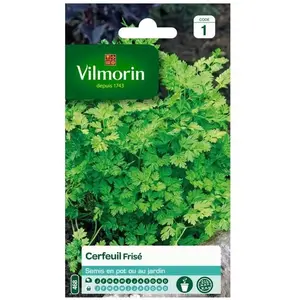 VILMORIN Cerfeuil frisé pas cher