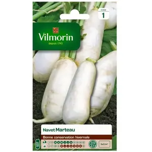 VILMORIN Navet Marteau