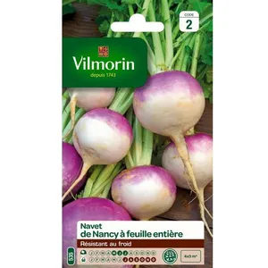 Vilmorin Graines De Navet Variété "Nancy À Feuille Entière" Vilmorin Semis De Mai À Juillet