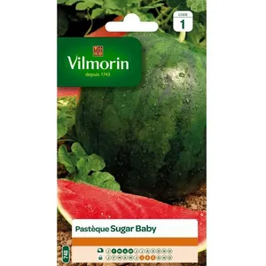 VILMORIN Pasteque Sugar Baby pas cher