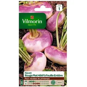 VILMORIN Navet rouge plat hâtif à feuille entière