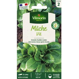 VILMORIN Mâche Vit pas cher