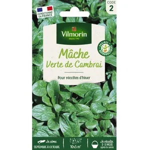VILMORIN Mâche verte de Cambrai pas cher
