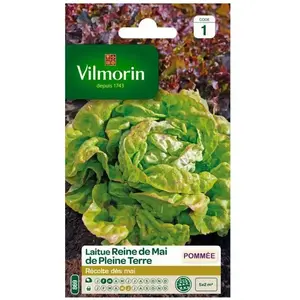 Laitue Pommee reine de Mai de pleine terre - VILMORIN - Graine - Légumes - Potager et verger