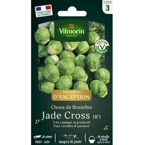 VILMORIN Chou de Bruxelles Jade Cross HF1