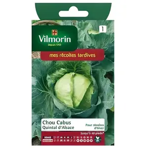 VILMORIN Chou Cabus Quintal d'Alsace pas cher