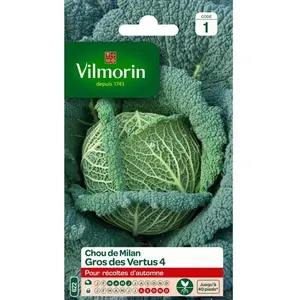 VILMORIN Chou de Milan gros des vertus pas cher