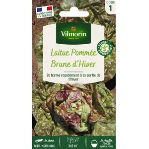 VILMORIN Sachet graines Laitue Brune dhiver- pas cher