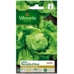 VILMORIN Laitue d’hiver Merveille d’hiver pas cher