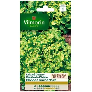 VILMORIN Laitue à couper feuille de Chêne blonde graines noires pas cher