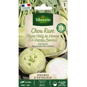 VILMORIN Chou rave blanc hâtif de Vienne
