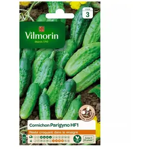 VILMORIN Cornichon Parigyno HF1 Création Vilmorin