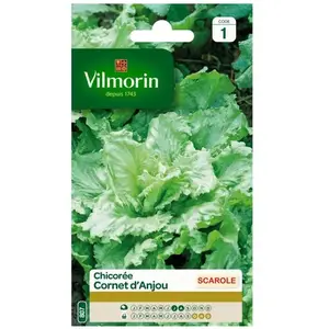 VILMORIN Chicorée scarole Cornet d Anjou pas cher