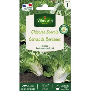 VILMORIN Chicorée scarole cornet de Bordeaux pas cher