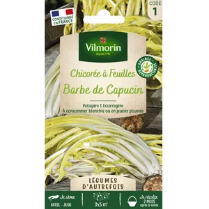 VILMORIN Chicorée à larges feuilles amères type Barbe de Capucin pas cher