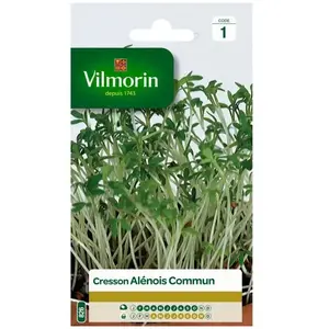 VILMORIN Cresson alenois commun pas cher