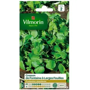 Cresson de Fontaine à larges feuilles - VILMORIN - Variété très productive - Saveur piquante pas cher