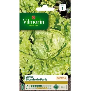 VILMORIN Laitue Batavia Blonde de Paris pas cher