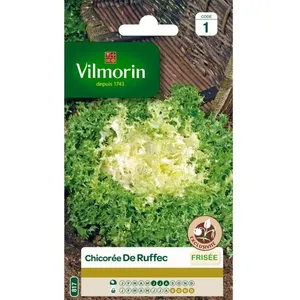 VILMORIN Chicorée frisée de Ruffec pas cher