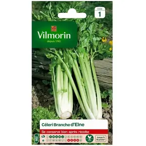 VILMORIN Céleri branche d’Elne pas cher