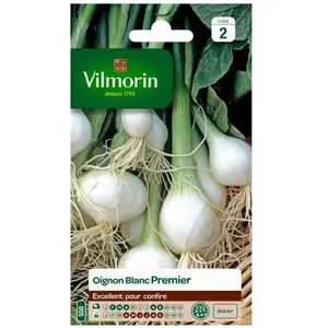 VILMORIN Oignon blanc premier pas cher