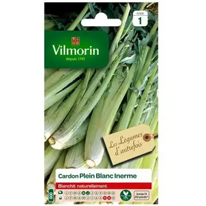 VILMORIN Cardon plein blanc inerne