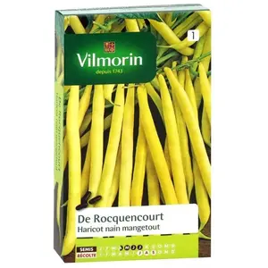 VILMORIN Haricot Rocquencourt Sachet de graines pas cher