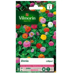 VILMORIN Zinnia Lilliput varie